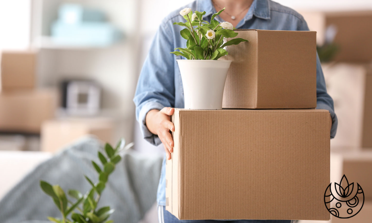 Moving Houseplants to a New Home: Tips for Success