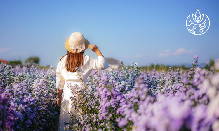 How to Keep Plants Alive While You're on Leave